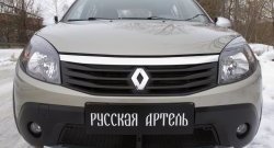 2 499 р. Защитная сетка решетки переднего бампера РА  Renault Sandero Stepway  (BS) (2010-2014)  с доставкой в г. Кемерово. Увеличить фотографию 3