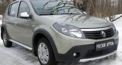 2 499 р. Защитная сетка решетки переднего бампера РА  Renault Sandero Stepway  (BS) (2010-2014)  с доставкой в г. Кемерово. Увеличить фотографию 4