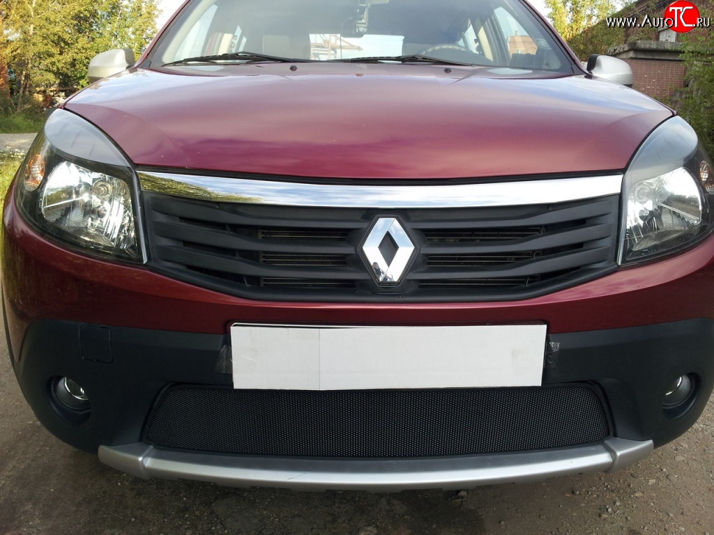 1 934 р. Сетка на бампер Novline Renault Sandero Stepway (B8) дорестайлинг (2014-2018)  с доставкой в г. Кемерово