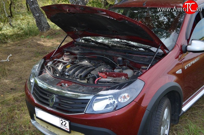 2 969 р. Упор капота Sport.  Renault Sandero  (BS) - Sandero Stepway  (BS)  с доставкой в г. Кемерово