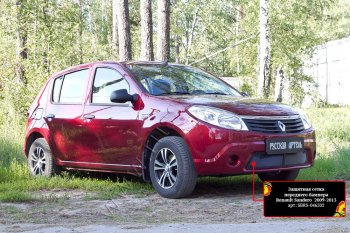 Защитная сетка решетки переднего бампера Русская Артель Renault Sandero (BS) (2009-2014) (Поверхность текстурная)