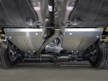 Защита бака (2 штуки, алюминий) TCC Volkswagen Tiguan  Mk2 (2016-2020) дорестайлинг