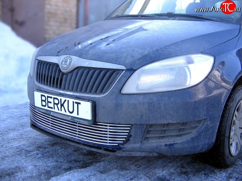 5 899 р. Декоративная вставка воздухозаборника Berkut  Skoda Fabia  Mk2 (2007-2010) универсал дорестайлинг, хэтчбэк дорестайлинг  с доставкой в г. Кемерово