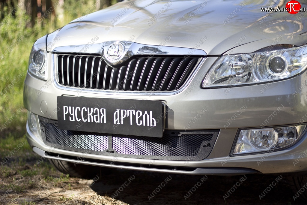 2 069 р. Защитная сетка решетки переднего бампера РА Skoda Fabia Mk2 универсал рестайлинг (2010-2014)  с доставкой в г. Кемерово