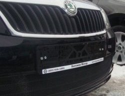 1 469 р. Сетка на бампер (рестайлинг) Russtal (черная) Skoda Fabia Mk2 хэтчбэк дорестайлинг (2007-2010)  с доставкой в г. Кемерово. Увеличить фотографию 2