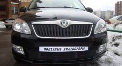 1 469 р. Сетка на бампер (рестайлинг) Russtal (черная) Skoda Fabia Mk2 хэтчбэк дорестайлинг (2007-2010)  с доставкой в г. Кемерово. Увеличить фотографию 3