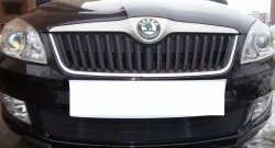 1 469 р. Сетка на бампер (рестайлинг) Russtal (черная) Skoda Fabia Mk2 хэтчбэк дорестайлинг (2007-2010)  с доставкой в г. Кемерово. Увеличить фотографию 4