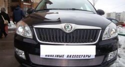 1 539 р. Сетка на бампер (рестайлинг) Russtal (хром) Skoda Fabia Mk2 хэтчбэк дорестайлинг (2007-2010)  с доставкой в г. Кемерово. Увеличить фотографию 2