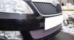 1 539 р. Сетка на бампер (рестайлинг) Russtal (хром) Skoda Fabia Mk2 хэтчбэк дорестайлинг (2007-2010)  с доставкой в г. Кемерово. Увеличить фотографию 3