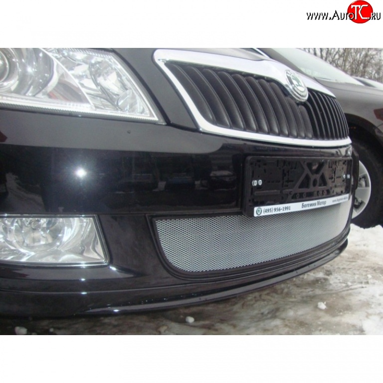 1 539 р. Сетка на бампер (рестайлинг) Russtal (хром) Skoda Fabia Mk2 хэтчбэк дорестайлинг (2007-2010)  с доставкой в г. Кемерово