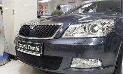 1 469 р. Сетка на бампер Russtal (черная) Skoda Octavia A5 рестайлинг универсал (2008-2013)  с доставкой в г. Кемерово. Увеличить фотографию 2