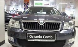 1 469 р. Сетка на бампер Russtal (черная) Skoda Octavia A5 рестайлинг универсал (2008-2013)  с доставкой в г. Кемерово. Увеличить фотографию 3