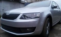 2 569 р. Сетка (для комплектации Ambition, Elegance) на бампер Russtal (черная) Skoda Octavia A7 дорестайлинг лифтбэк (2012-2017)  с доставкой в г. Кемерово. Увеличить фотографию 2