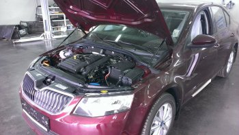 Упоры капота Russtal Skoda Octavia A7 дорестайлинг лифтбэк (2012-2017)