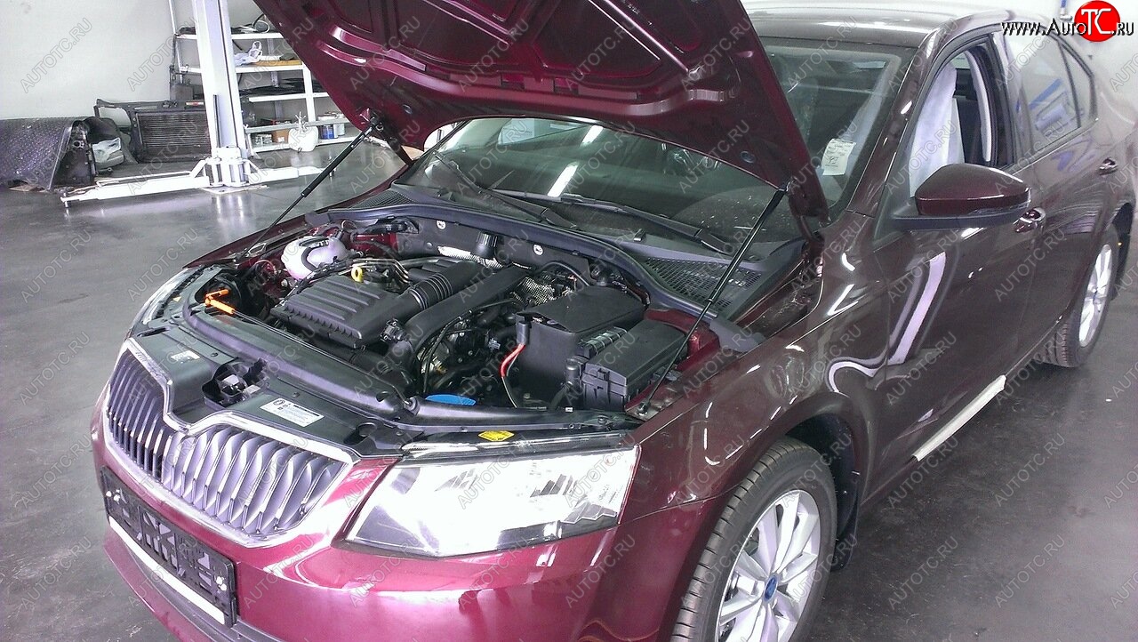 2 049 р. Упоры капота Russtal Skoda Octavia A7 дорестайлинг лифтбэк (2012-2017)  с доставкой в г. Кемерово