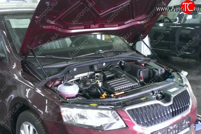 1 649 р. Газовые упоры капота Berkut Skoda Octavia A7 дорестайлинг лифтбэк (2012-2017)  с доставкой в г. Кемерово