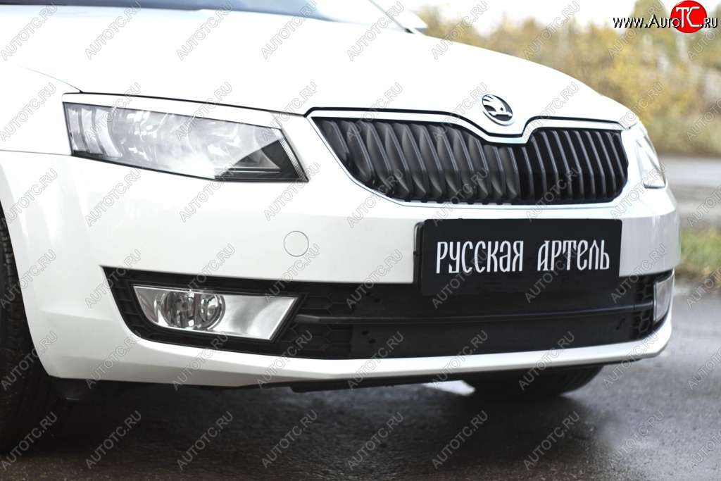 1 039 р. Зимняя заглушка решетки переднего бампера РА Skoda Octavia A7 дорестайлинг лифтбэк (2012-2017)  с доставкой в г. Кемерово