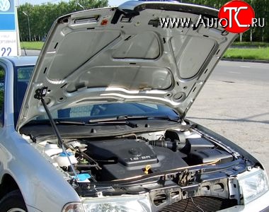2 969 р. Упор капота Sport  Skoda Octavia ( Tour A4 1U5,  Tour A4 1U2) (1996-2000) универсал дорестайлинг, лифтбэк дорестайлинг  с доставкой в г. Кемерово