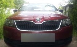 2 339 р. Сетка на бампер Russtal (черная) Skoda Rapid NH3 дорестайлинг лифтбэк (2012-2017)  с доставкой в г. Кемерово. Увеличить фотографию 2