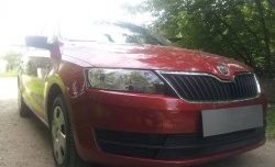 2 339 р. Сетка на бампер Russtal (черная) Skoda Rapid NH3 дорестайлинг лифтбэк (2012-2017)  с доставкой в г. Кемерово. Увеличить фотографию 3