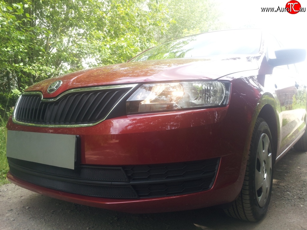 2 339 р. Сетка на бампер Russtal (черная) Skoda Rapid NH3 дорестайлинг лифтбэк (2012-2017)  с доставкой в г. Кемерово