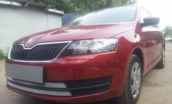 2 399 р. Сетка на бампер Russtal (хром)  Skoda Rapid ( NH3,  NH1) (2012-2017) дорестайлинг лифтбэк, хэтчбэк дорестайлинг  с доставкой в г. Кемерово. Увеличить фотографию 4