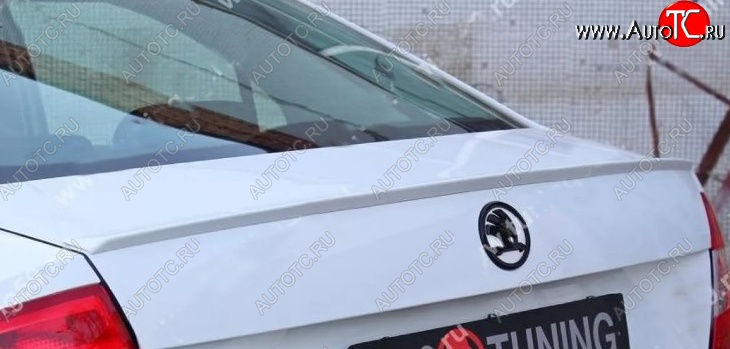 4 799 р. Лип спойлер Tuning-Sport  Skoda Rapid  NH3 (2012-2017) дорестайлинг лифтбэк (Неокрашенный)  с доставкой в г. Кемерово