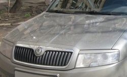 1 649 р. Реснички на фары CT Skoda Superb седан 3U дорестайлинг (2001-2006) (Неокрашенные)  с доставкой в г. Кемерово. Увеличить фотографию 2