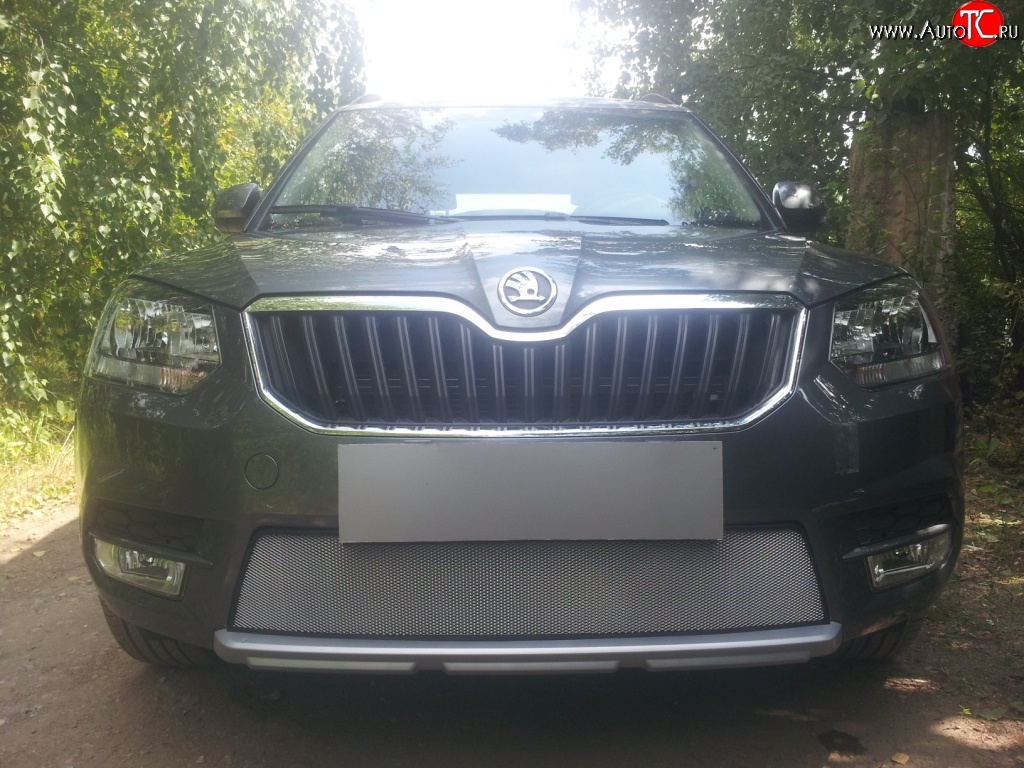 1 539 р. Сетка на бампер City Russtal (хром) Skoda Yeti (2013-2018)  с доставкой в г. Кемерово