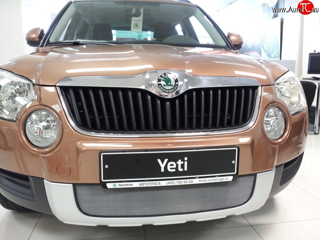 2 199 р. Сетка на бампер Russtal (хром) Skoda Yeti (2009-2013)  с доставкой в г. Кемерово