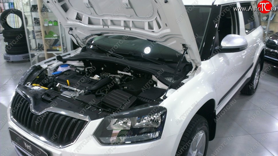 2 199 р. Газовый упор капота Berkut Skoda Yeti (2009-2013)  с доставкой в г. Кемерово