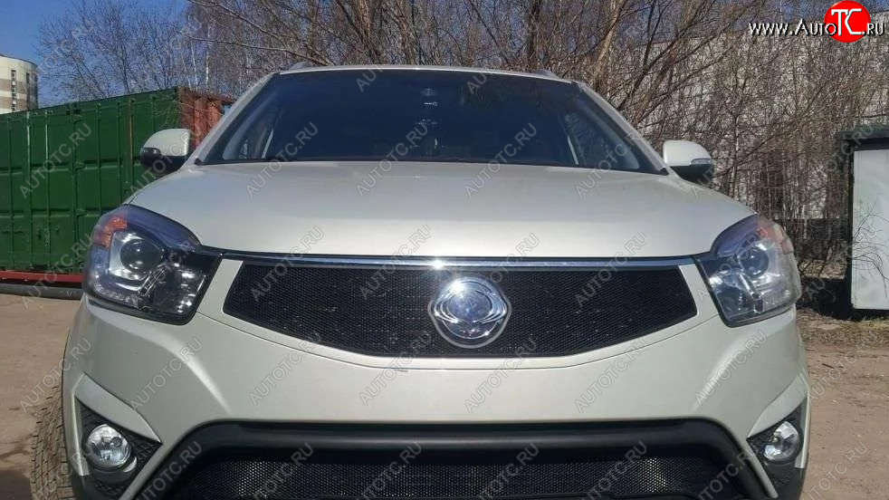 1 469 р. Защитная сетка в решетку радиатора Russtal SSANGYONG Actyon рестайлинг (2013-2021)  с доставкой в г. Кемерово