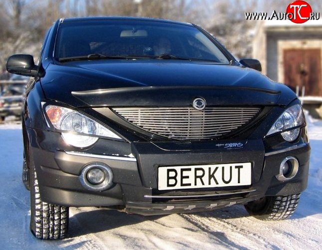 5 999 р. Декоративная вставка решетки радиатора Berkut SSANGYONG Actyon Sport (2006-2011)  с доставкой в г. Кемерово