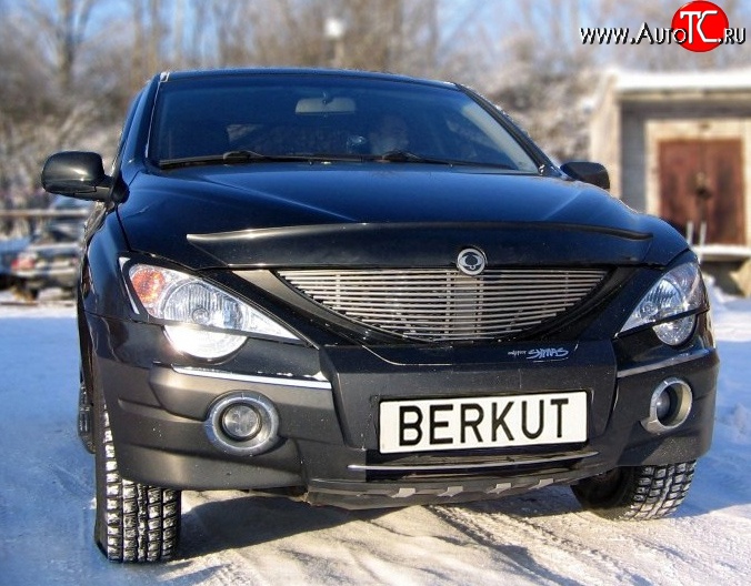 5 999 р. Декоративная вставка решетки радиатора Berkut SSANGYONG Actyon 1 (2006-2010)  с доставкой в г. Кемерово