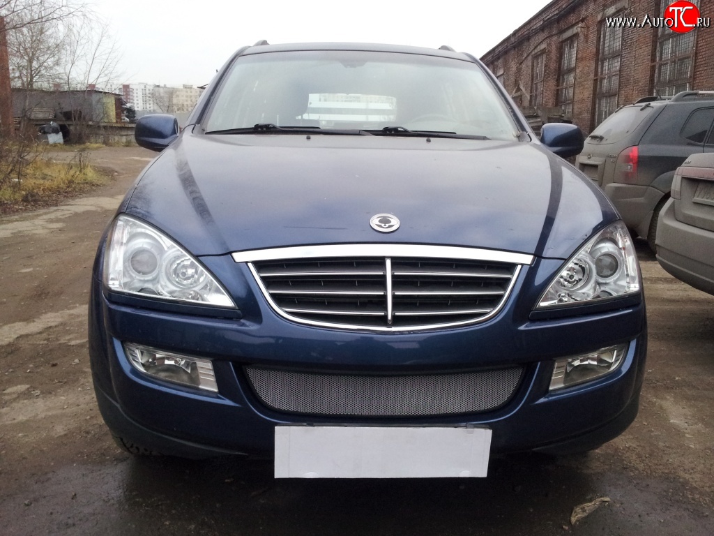 1 539 р. Сетка на бампер Russtal (хром) SSANGYONG Kyron дорестайлинг (2005-2007)  с доставкой в г. Кемерово