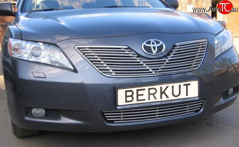 6 499 р. Декоративная вставка решетки радиатора Berkut Toyota Camry XV40 рестайлинг (2009-2011)  с доставкой в г. Кемерово