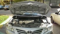 Газовые упоры капота Berkut Toyota Corolla E140 седан дорестайлинг (2007-2010)