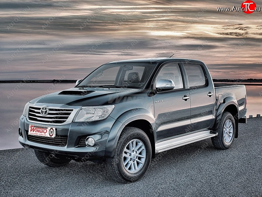 15 299 р. Подножки боковые WINBO OE Style  Toyota Hilux  AN20,AN30 (2011-2016)  2-ой рестайлинг  с доставкой в г. Кемерово