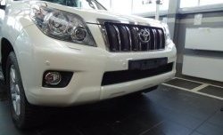 1 469 р. Сетка на бампер Russtal (черная)  Toyota Land Cruiser Prado  J150 (2009-2013) дорестайлинг  с доставкой в г. Кемерово. Увеличить фотографию 1