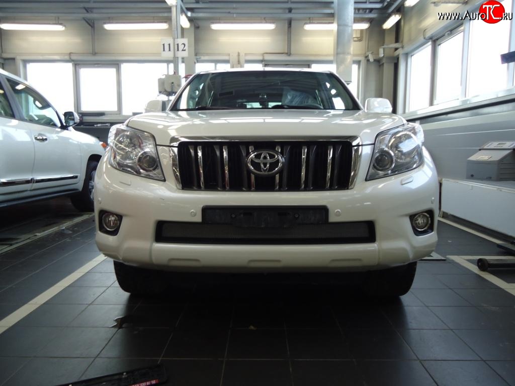 1 539 р. Сетка на бампер Russtal (хром) Toyota Land Cruiser Prado J150 дорестайлинг (2009-2013)  с доставкой в г. Кемерово
