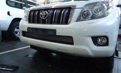 1 539 р. Сетка на бампер Russtal (хром) Toyota Land Cruiser Prado J150 дорестайлинг (2009-2013)  с доставкой в г. Кемерово. Увеличить фотографию 2