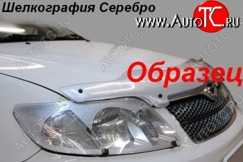 1 999 р. Защита фар CA-Plastic  Toyota Nadia  XN10 (1998-2003) дорестайлинг, рестайлинг минивэн (Шелкография серебро)  с доставкой в г. Кемерово