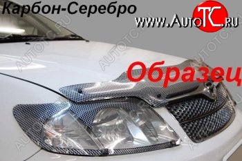 2 099 р. Защита фар CA-Plastic  Toyota Nadia  XN10 (1998-2003) дорестайлинг, рестайлинг минивэн (Шелкография карбон-серебро)  с доставкой в г. Кемерово