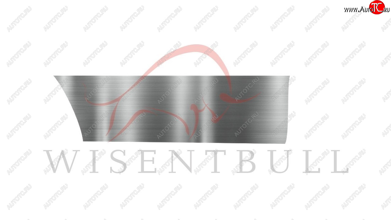 1 989 р. Ремкомплект правой двери Wisentbull  Toyota Opa (2000-2005)  с доставкой в г. Кемерово