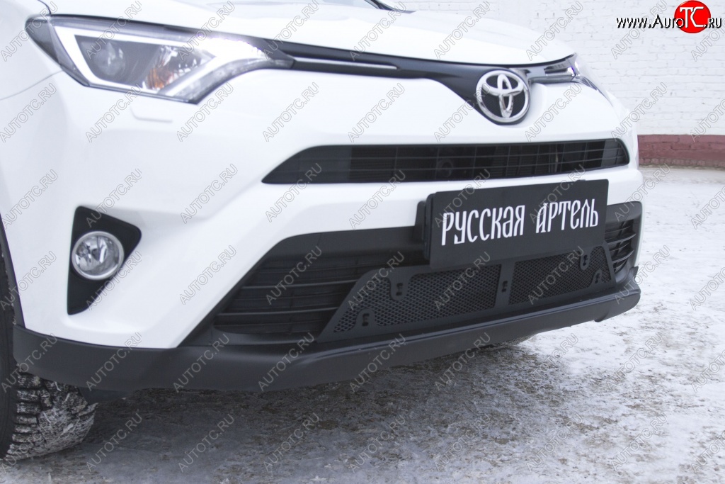 2 199 р. Защитная сетка решетки переднего бампера РА  Toyota RAV4  XA40 (2015-2019) 5 дв. рестайлинг  с доставкой в г. Кемерово