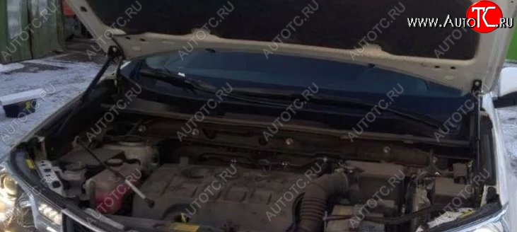 2 199 р. Газовые упоры капота Berkut Toyota RAV4 XA40 5 дв. рестайлинг (2015-2019)  с доставкой в г. Кемерово