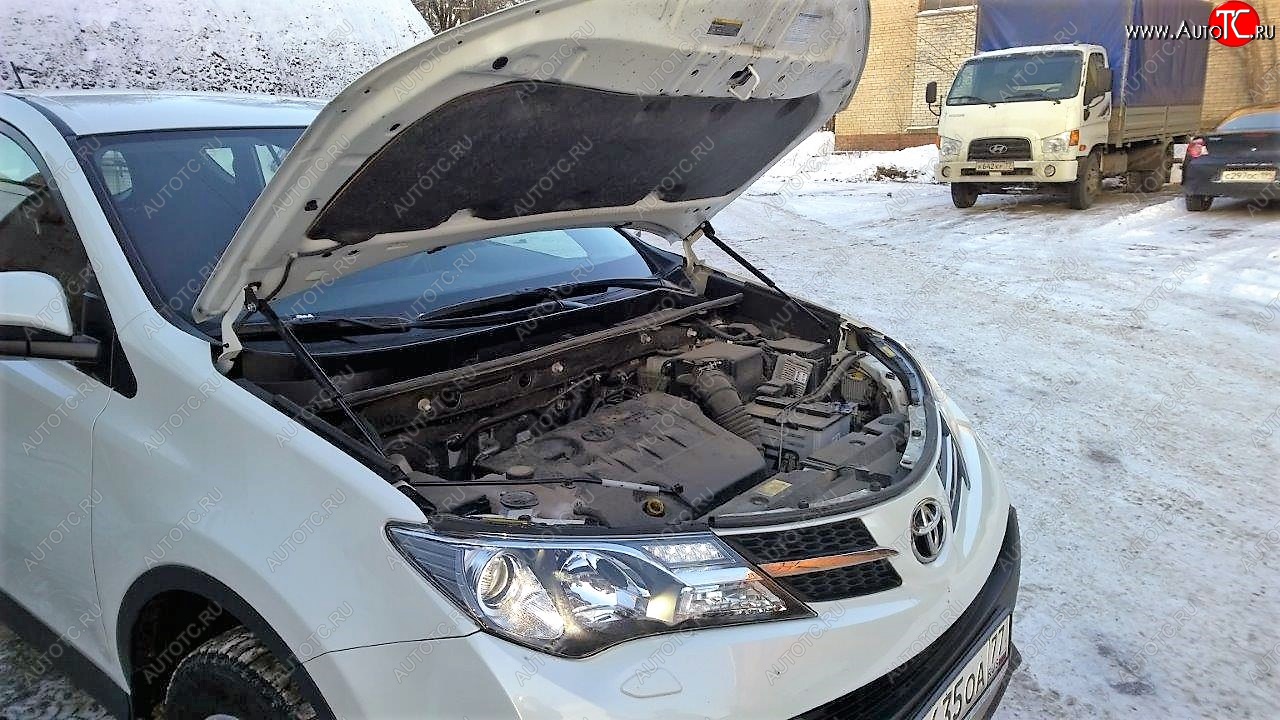 2 499 р. Упоры капота Russtal Toyota RAV4 XA40 5 дв. рестайлинг (2015-2019)  с доставкой в г. Кемерово