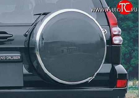 6 499 р. Бокс запасного колеса Ралекс-Тюнинг Toyota RAV4 XA305 5 дв. дорестайлинг (2005-2009) (215/65R16, Тарелочка неокрашенная)  с доставкой в г. Кемерово
