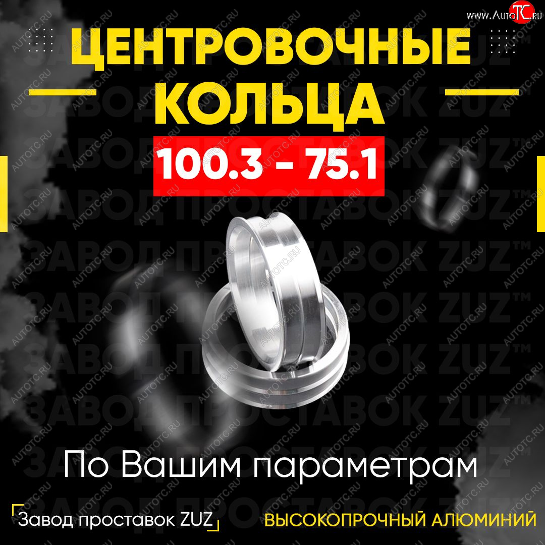 1 849 р. Алюминиевое центровочное кольцо   (4 шт) ЗУЗ 75.1 x 100.3    с доставкой в г. Кемерово