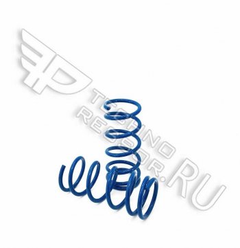Комплект задних пружин Техно Рессор (-90) Лада 2106 (1975-2005)